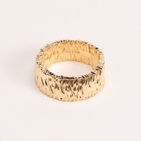 BAGUE Ana & Cha