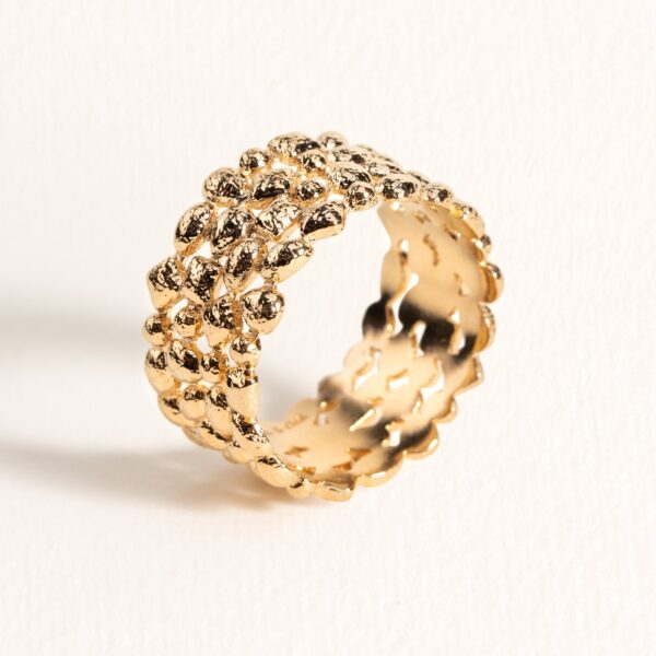 BAGUE Ana & Cha
