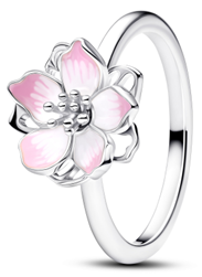 motclef3 localisation2