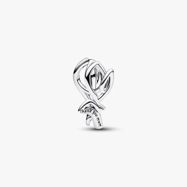 motclef5 localisation1