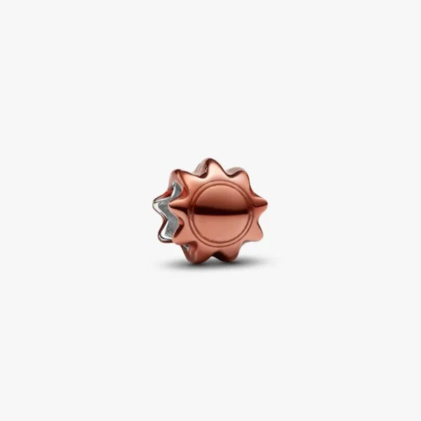 Réparation de bijoux à Luçon